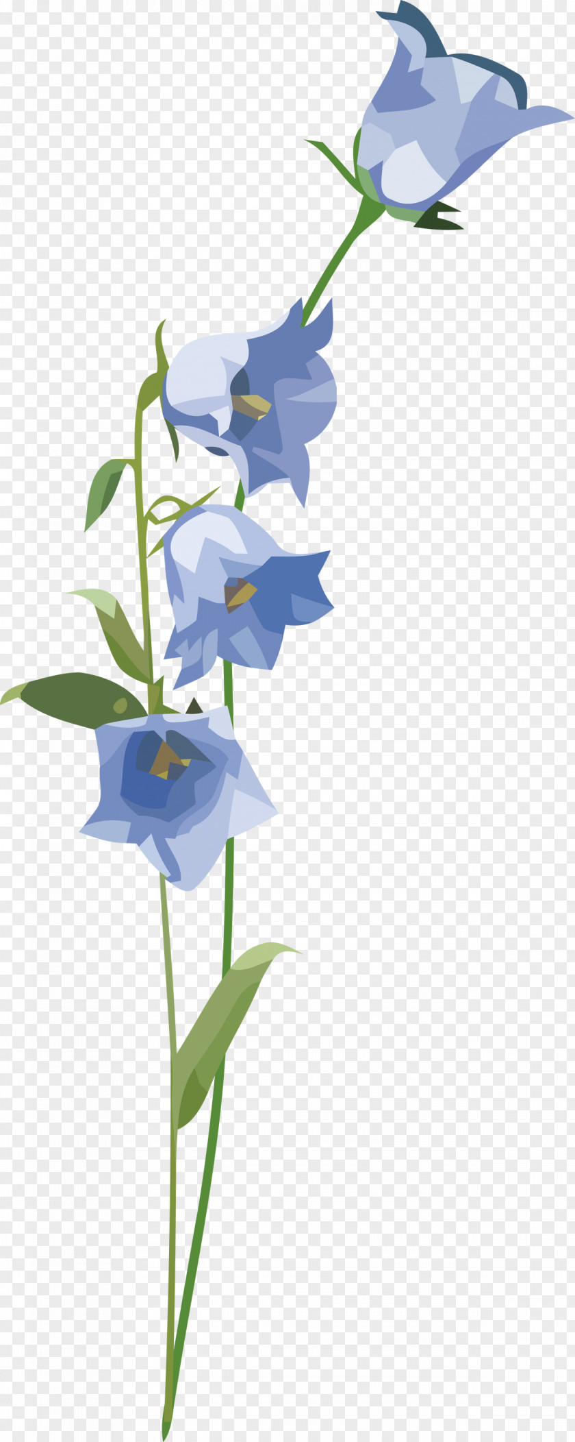 Flower Bellflower Family Plant Stem Flowerpot Leaf PNG