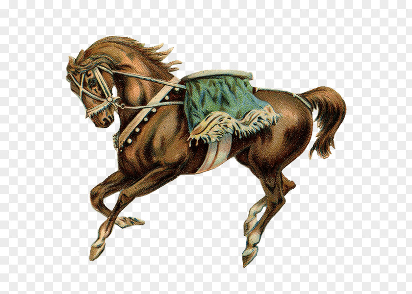 Horse Stallion Carousel Circus Clip Art PNG