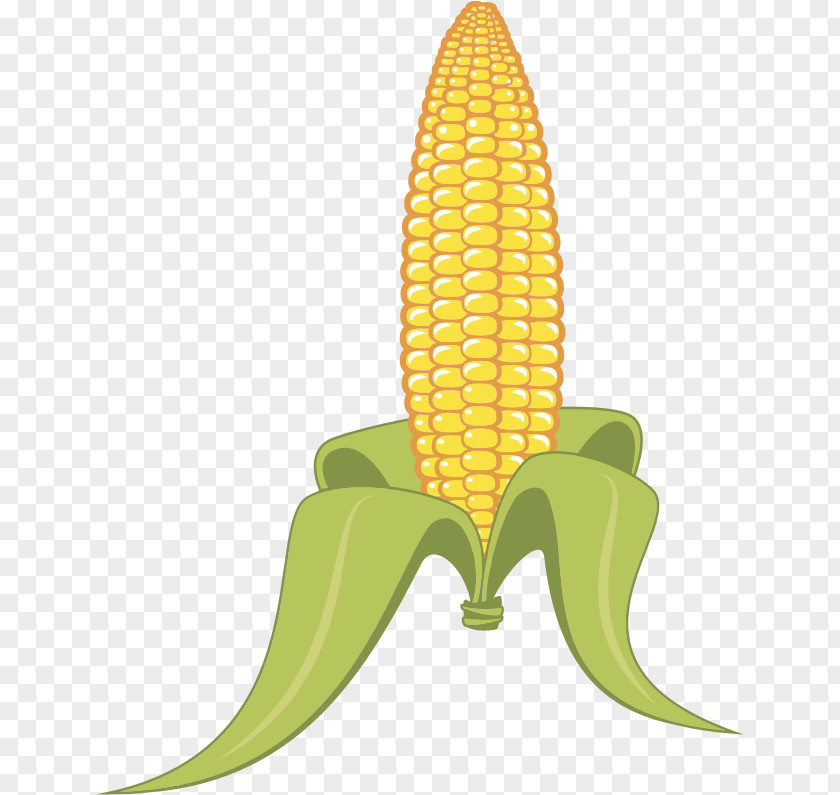 Corn-pops Clipart Popcorn Corn On The Cob Candy Maize PNG