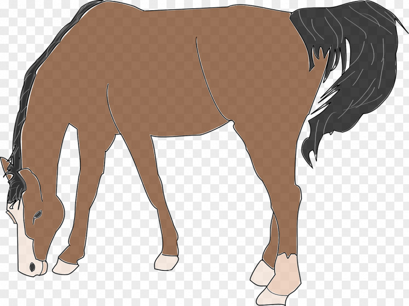 Brown Horse Website Free Content Clip Art PNG