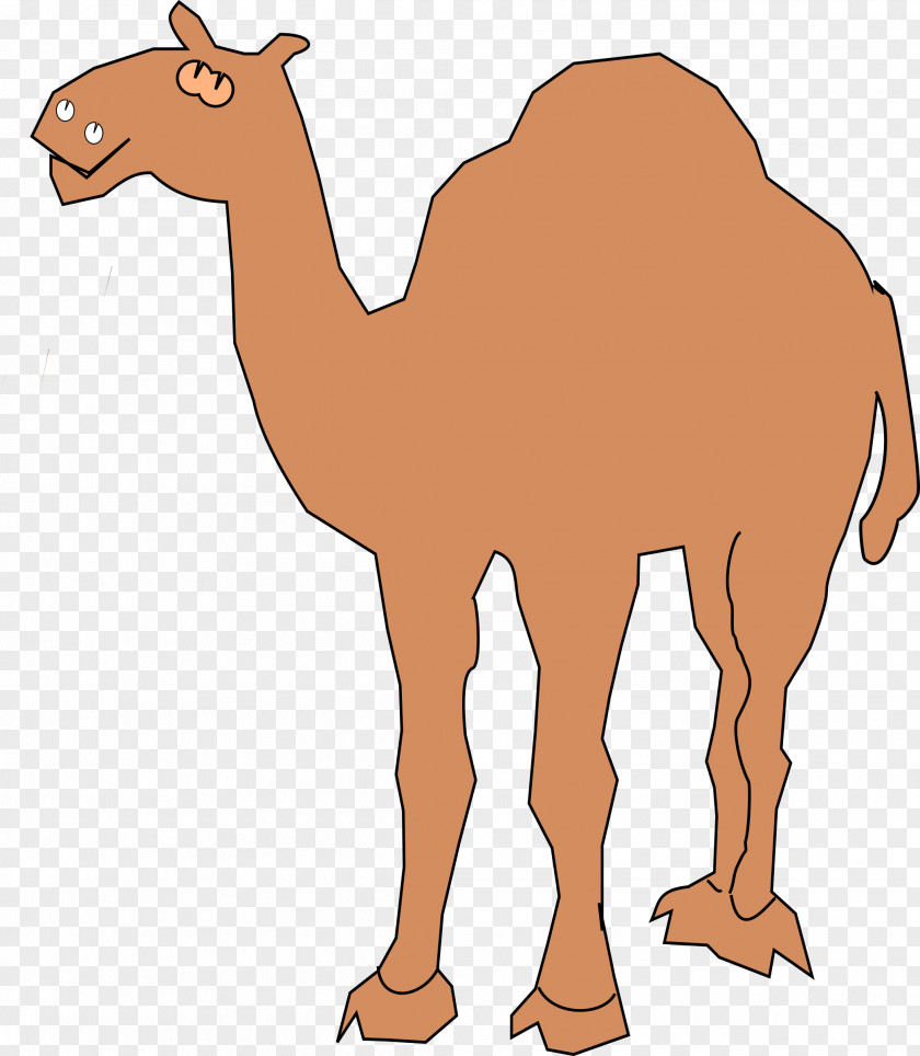 Camel Dromedary Clip Art PNG