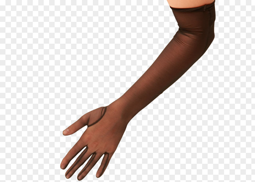 Evening Glove Thumb Cornelia James Digit Arm PNG