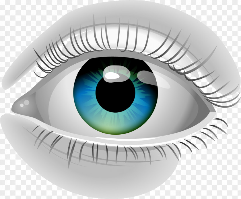 Grey Eyes Human Eye Pupil Euclidean Vector PNG