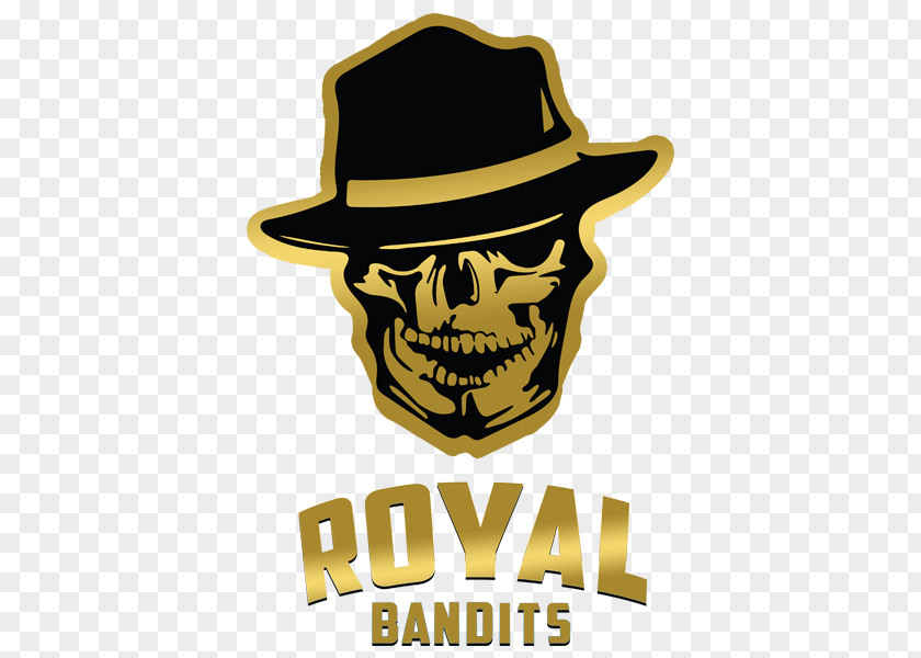 League Of Legends Royal Bandits Counter-Strike: Global Offensive Fnatic Academy Team Aurora PNG