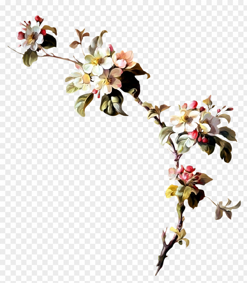 Peach Blossom Flower Wreath Clip Art PNG