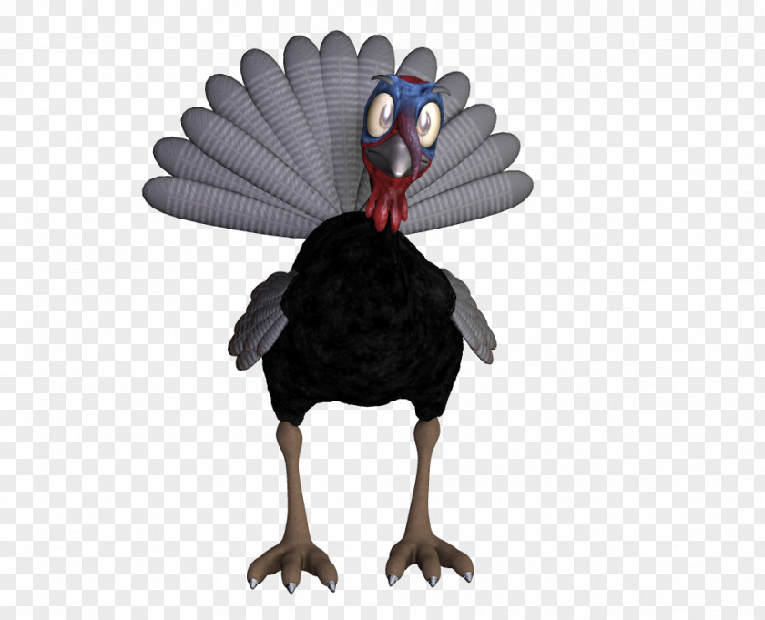 Turkey Bird Thanksgiving Clip Art PNG