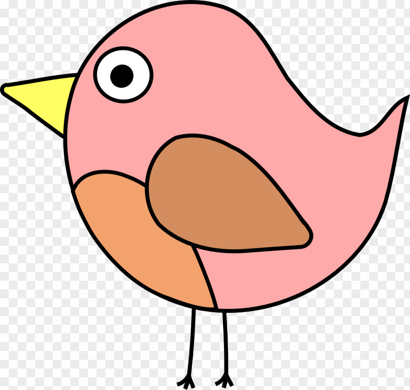 Bird Drawing Color Beak Clip Art PNG