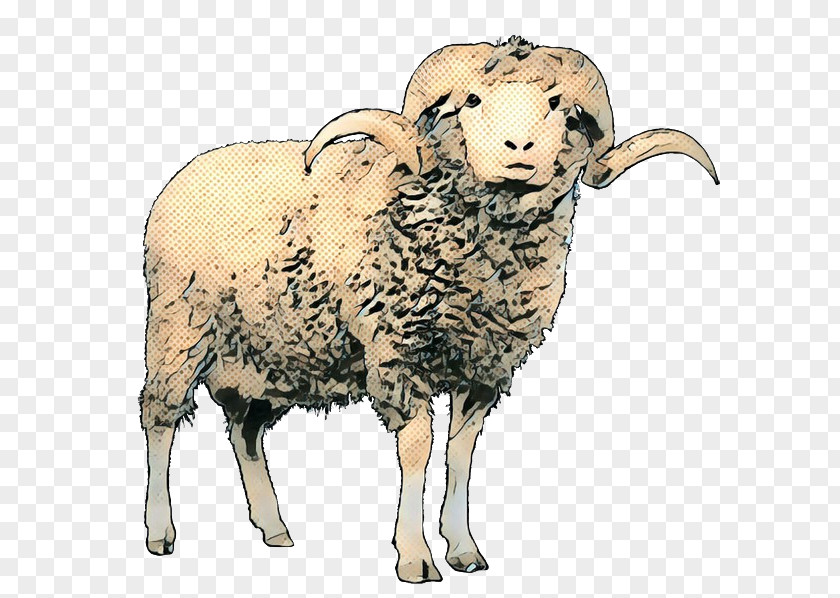Sheep Argali Cattle Mammal Fauna PNG