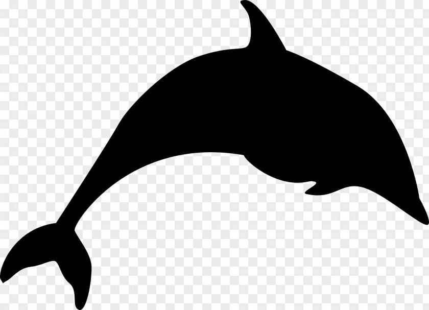 Tucuxi Killer Whale Dolphin Clip Art Fauna PNG