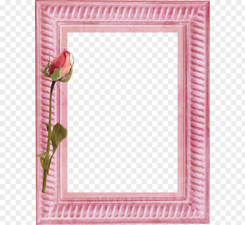 Warm Pink Frame Painting Picture Art PNG
