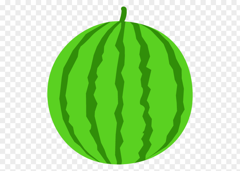 Watermelon Suica Illustration Fruit Squash PNG
