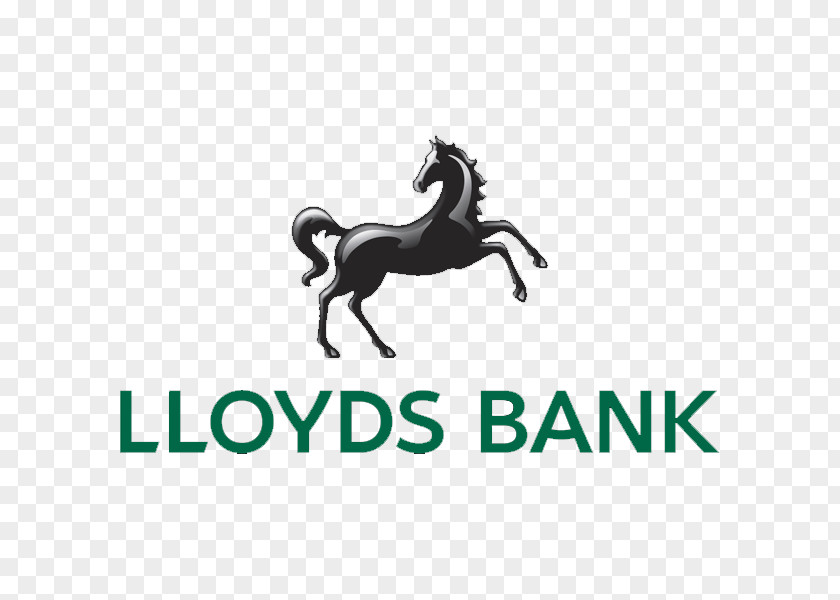 Bank Lloyds Finance Commercial Account PNG