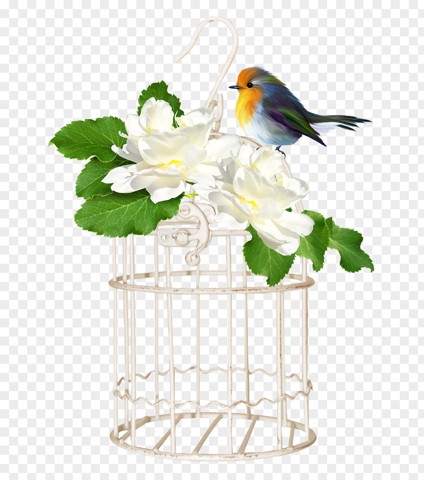 Bird Birdcage Clip Art PNG