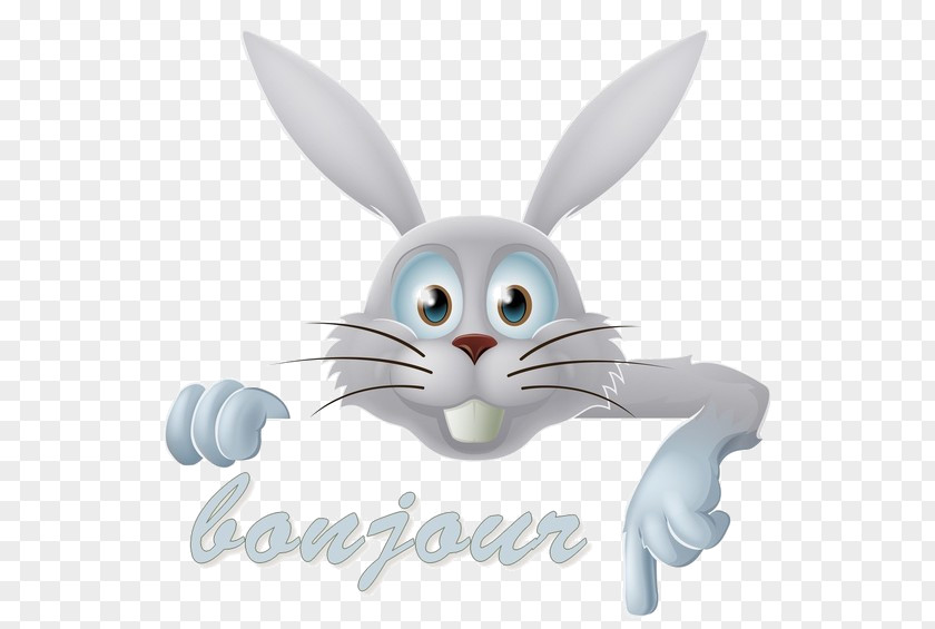 Bonjour Easter Bunny Clip Art PNG