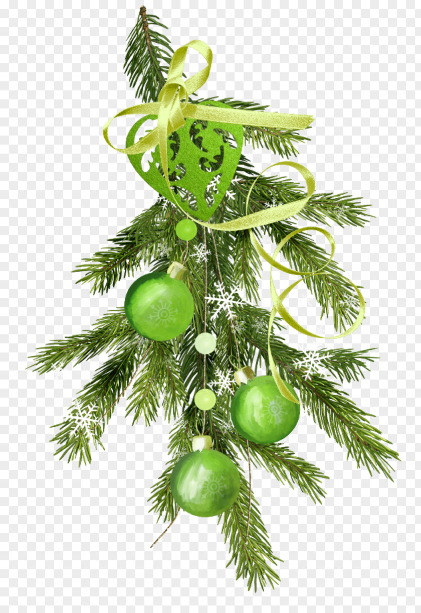 Christmas Ornament Spruce New Year Fir PNG