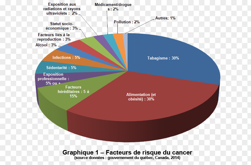 Pie Chart Person Information Diagram External Image PNG