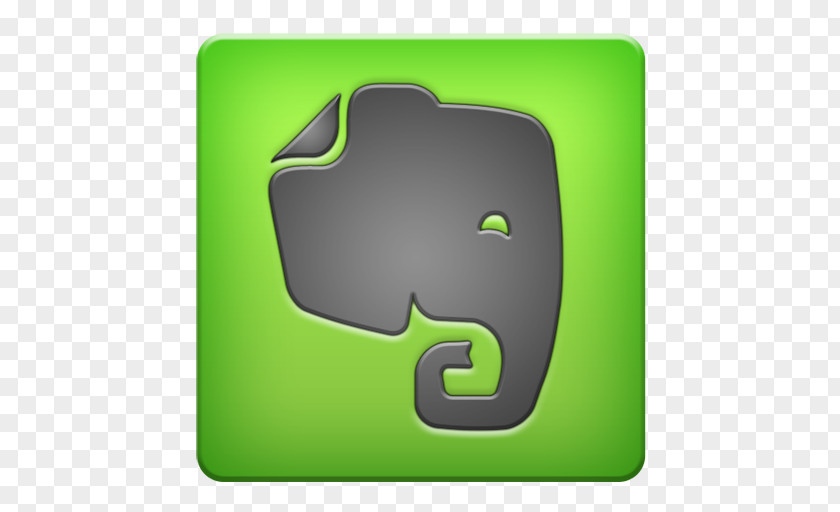 Theme Logo Organization Elephantidae Management PNG