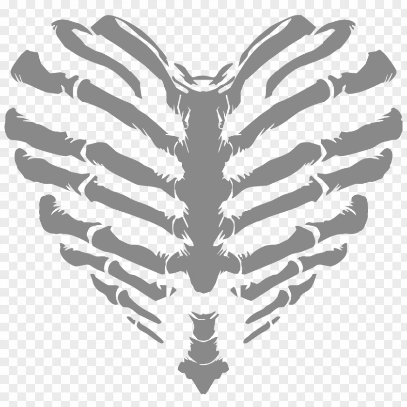 Vector Human Skeleton T-shirt Heart Rib Cage PNG
