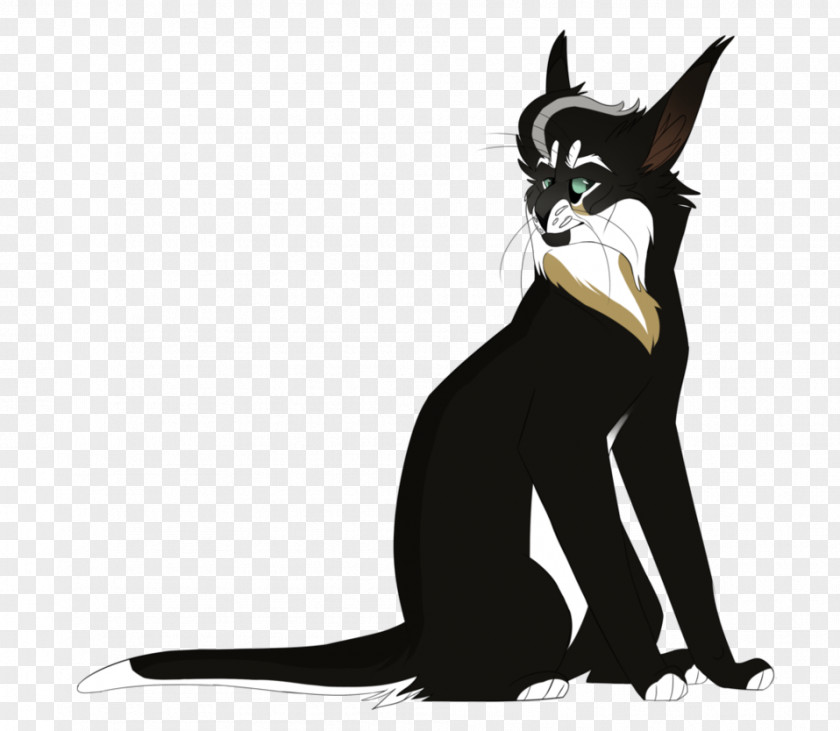 Alder Business Whiskers Cat Dog Illustration Clip Art PNG