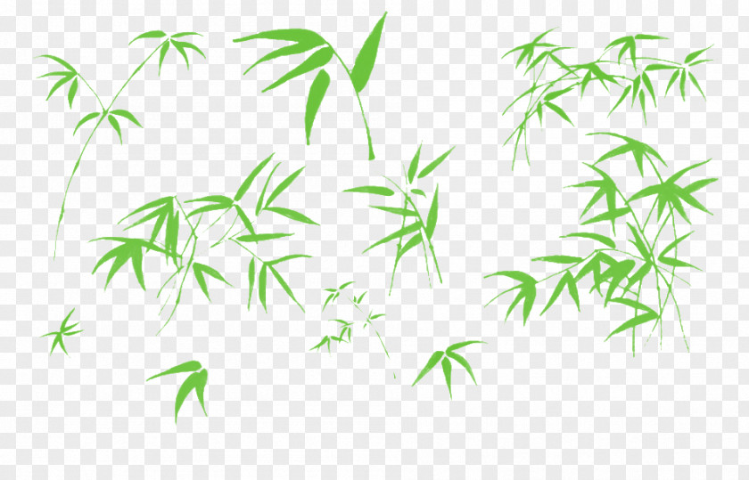 Bamboo Leaves Illustration PNG