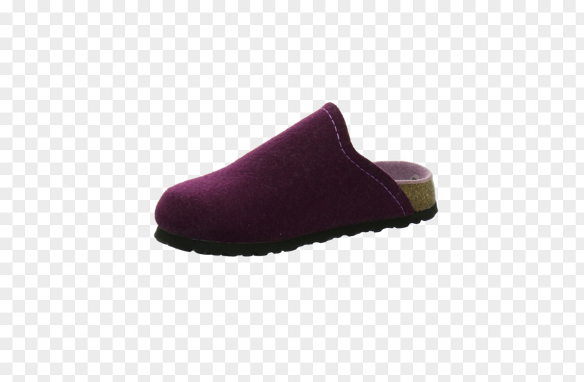 Betula Slipper Shoe Walking PNG
