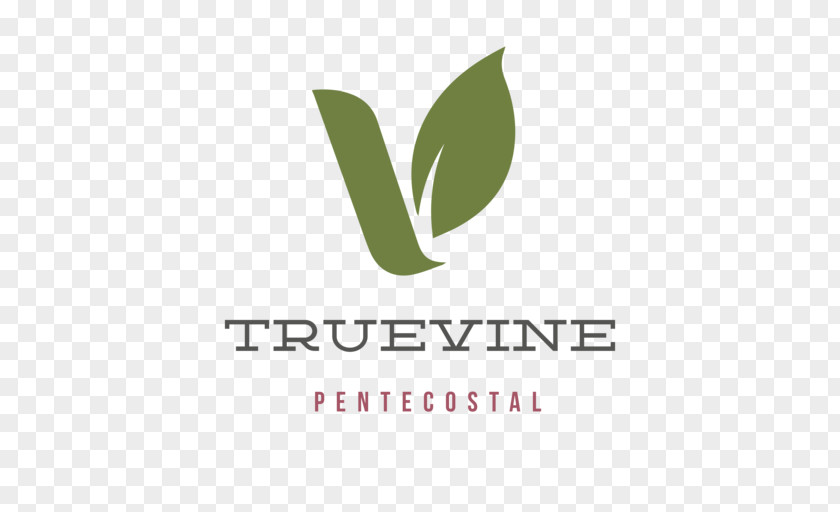 Design TrueVine Pentecostal Church Logo Product Brand Green PNG