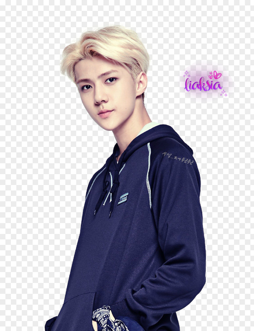 Hair South Korea Blond EXO Human Color PNG