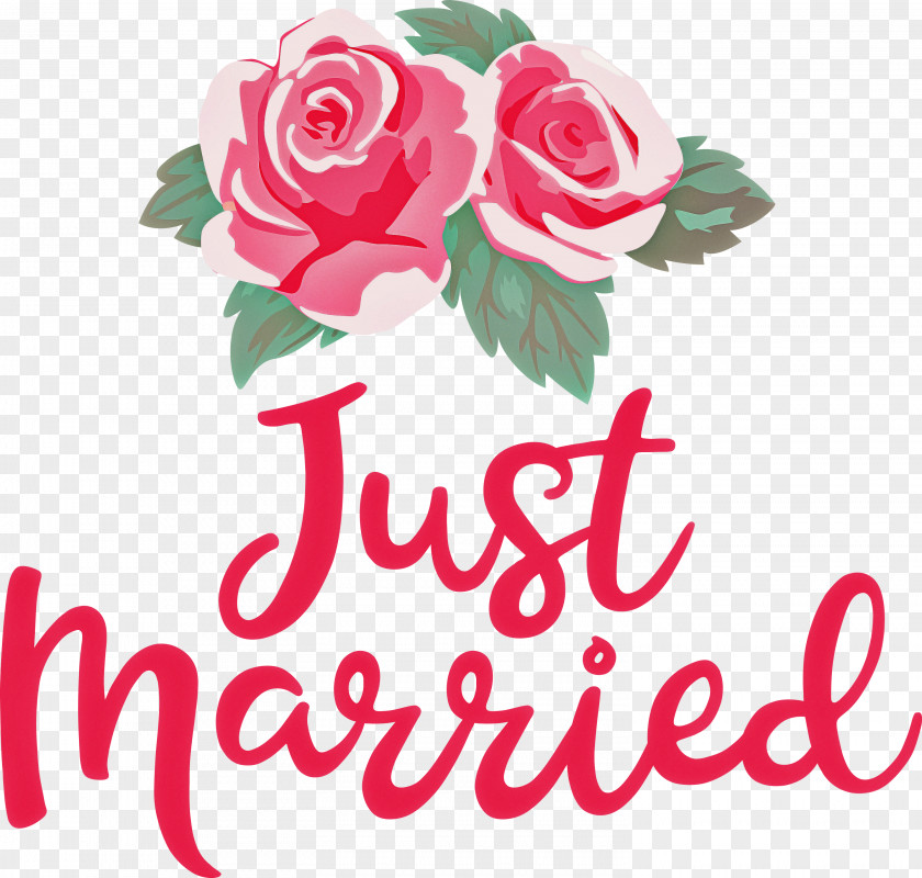 Just Married Wedding PNG