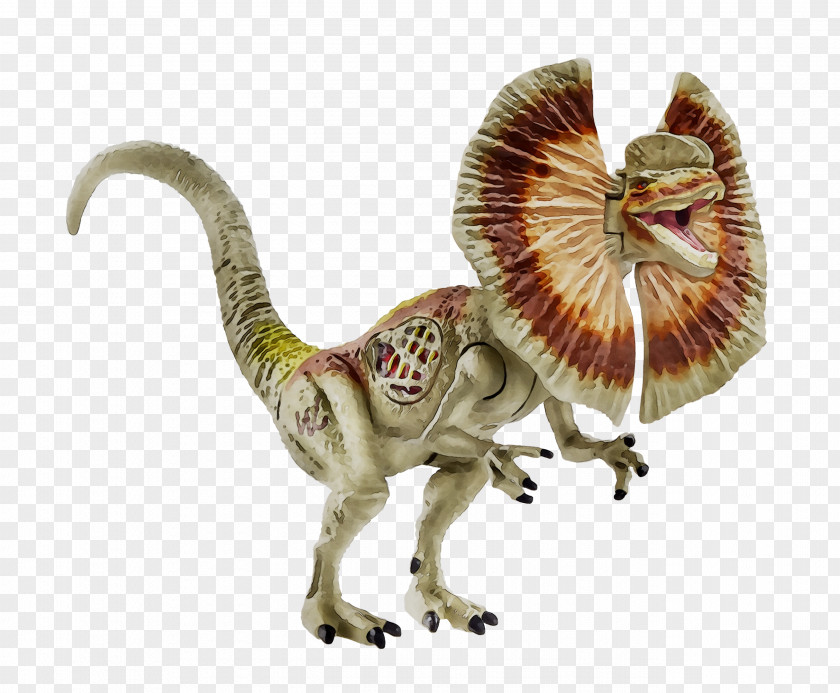 Velociraptor Dinosaur Stegosaurus Dilophosaurus Tyrannosaurus PNG