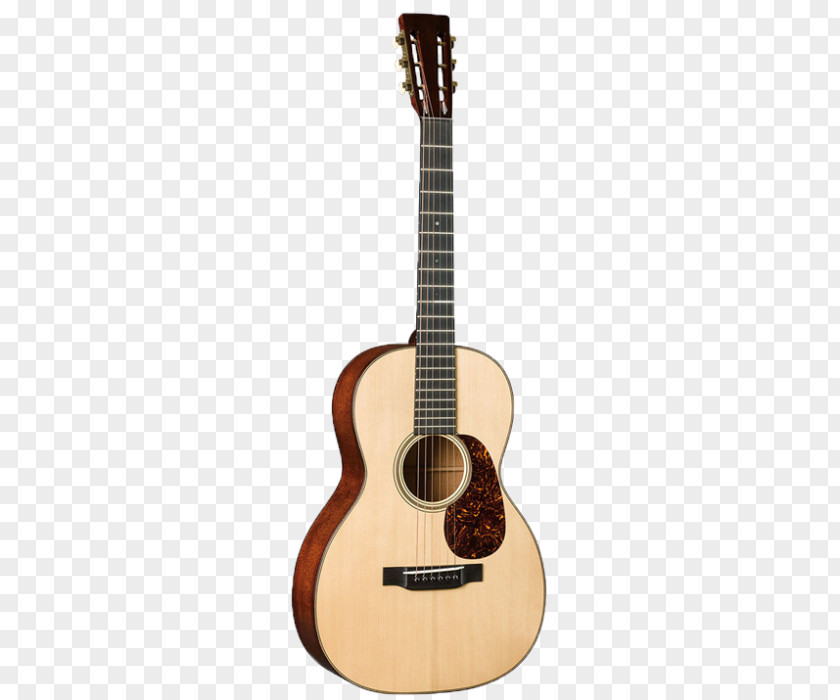 Acoustic Gig C. F. Martin & Company Steel-string Guitar Dreadnought PNG