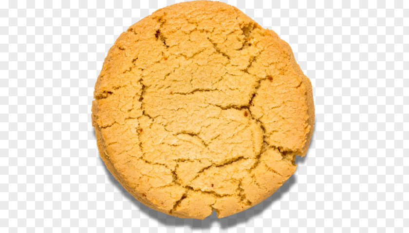 Biscuit Biscuits Ginger Snap Almond Cheesecake PNG