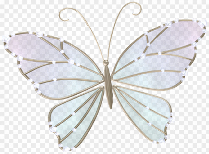 Butterflies Butterfly Insect Moth Pollinator Wing PNG