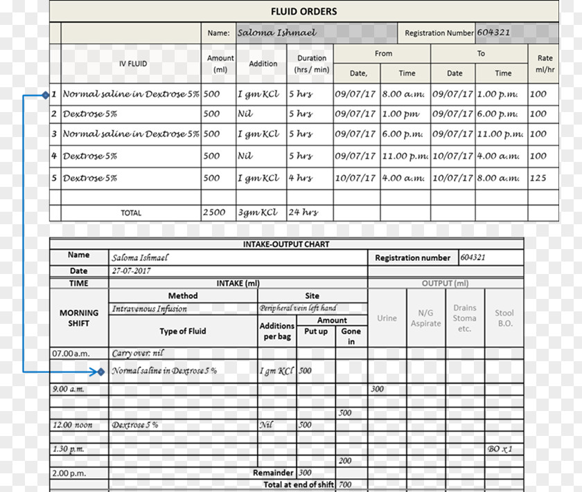 Chart Templates Intravenous Therapy Nursing Health Care Enteral Nutrition PNG