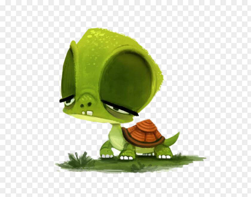 Green TurtleGreen Tortoise Turtle Cartoon Drawing Animation Illustration PNG