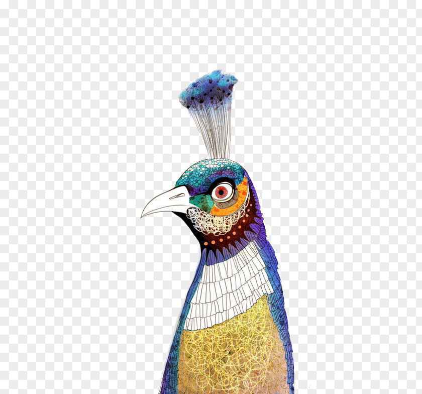 Peacock Head Bird Watercolor Painting PNG