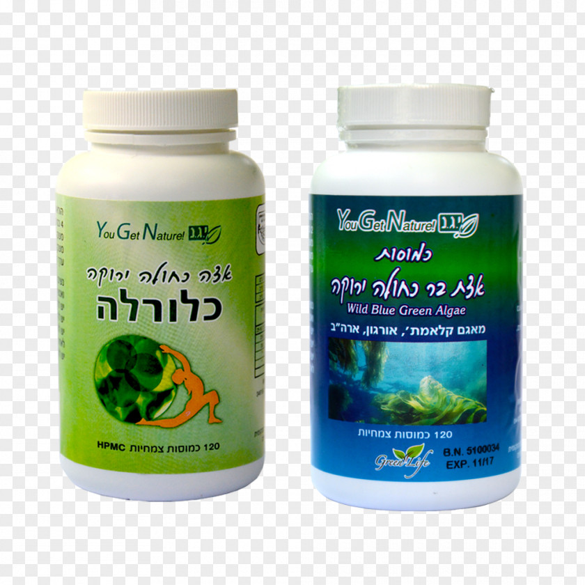 Algea Dietary Supplement Green Algae Aphanizomenon Flos-aquae Chlorella PNG