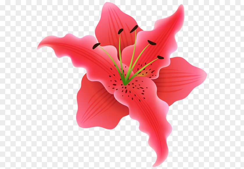Beautiful Flowers Library Flower Desktop Wallpaper Clip Art PNG