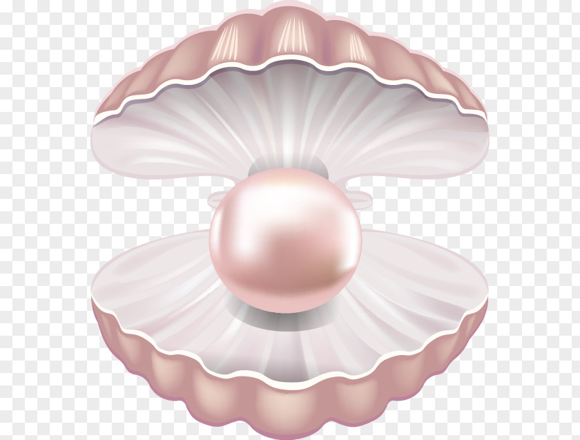 Beautiful Pink Shell Pearl Seashell Mollusc Gemstone PNG