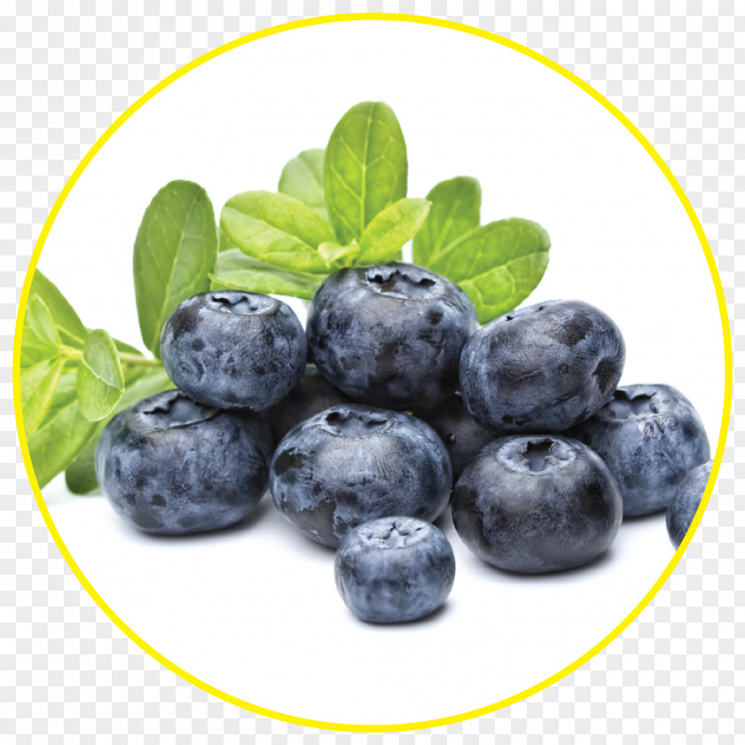 Blueberry Whole Food Drying Freeze-drying PNG