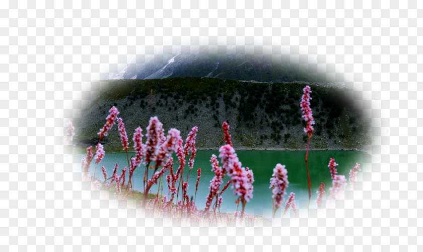 Lake Desktop Wallpaper Spring Mountains Flower Landscape PNG