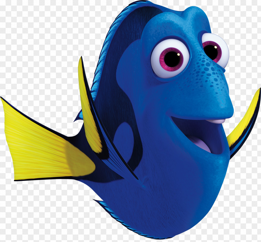 Nemo Marlin Character Pixar Film Director PNG