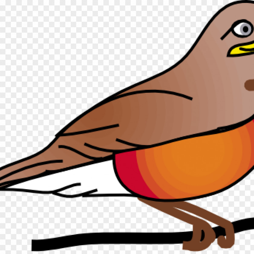 Robbin Clip Art American Robin Vector Graphics Openclipart Free Content PNG