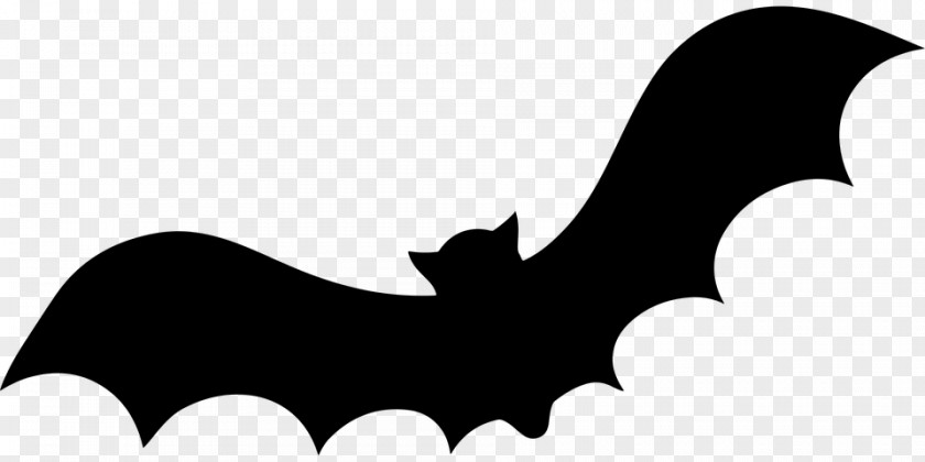 Bat Silhouette Clip Art PNG