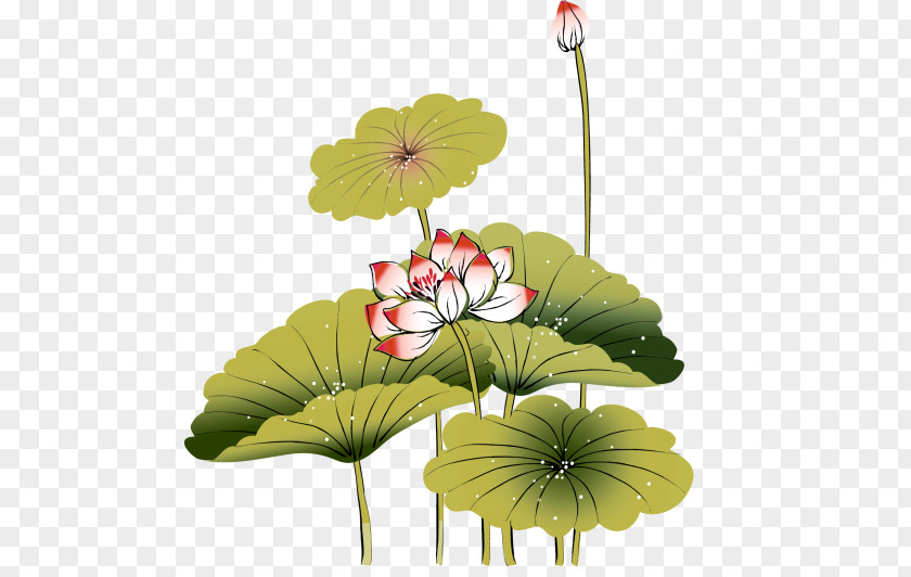 Beautiful Summer Painted Lotus Ink Wash Painting Desktop Wallpaper Image Shan Shui PNG