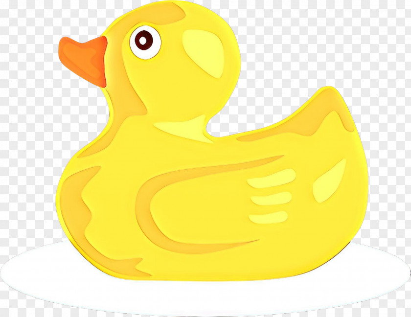 Goose Livestock Water Background PNG