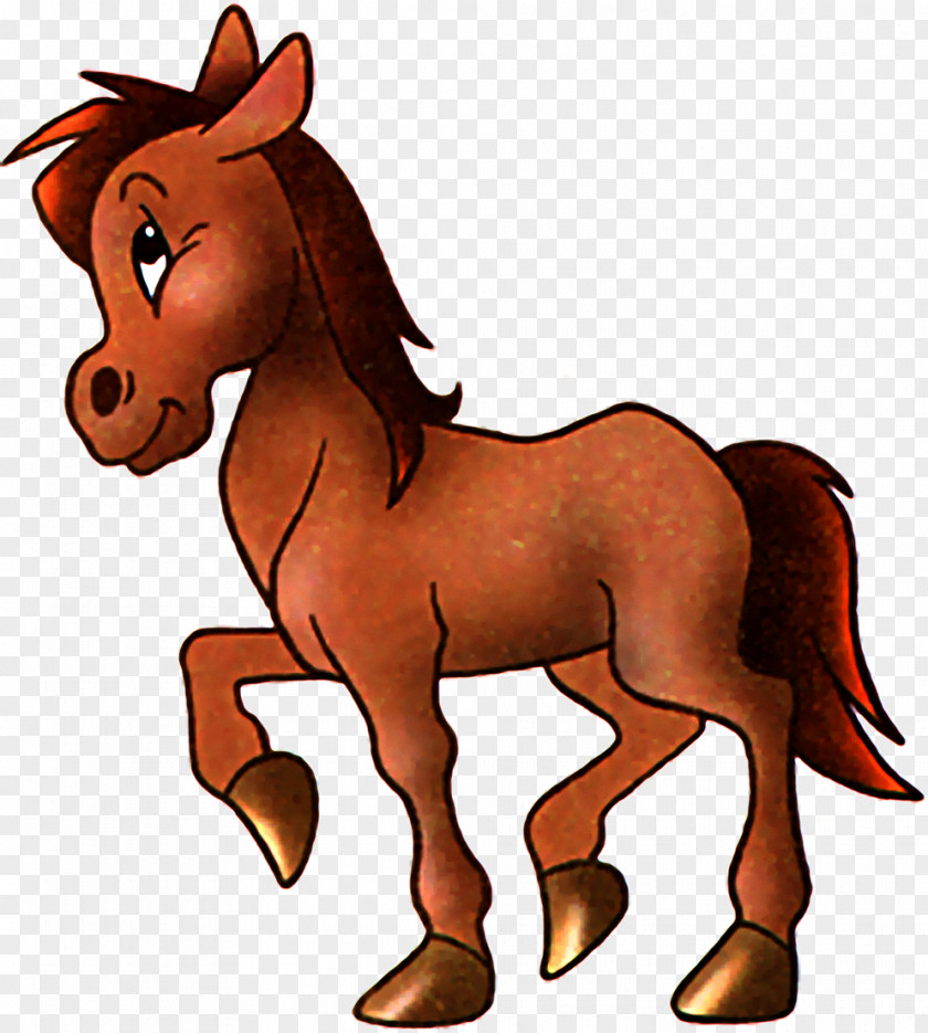 Horses Konik Pony Child Clip Art PNG