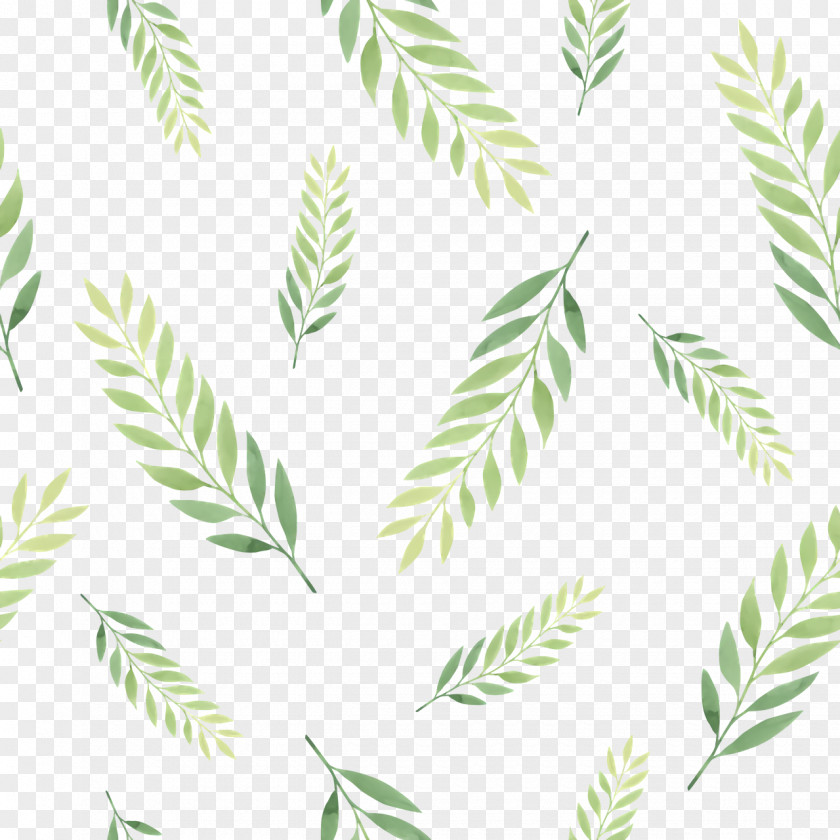 Leaf Plant Stem Tree Green Line PNG