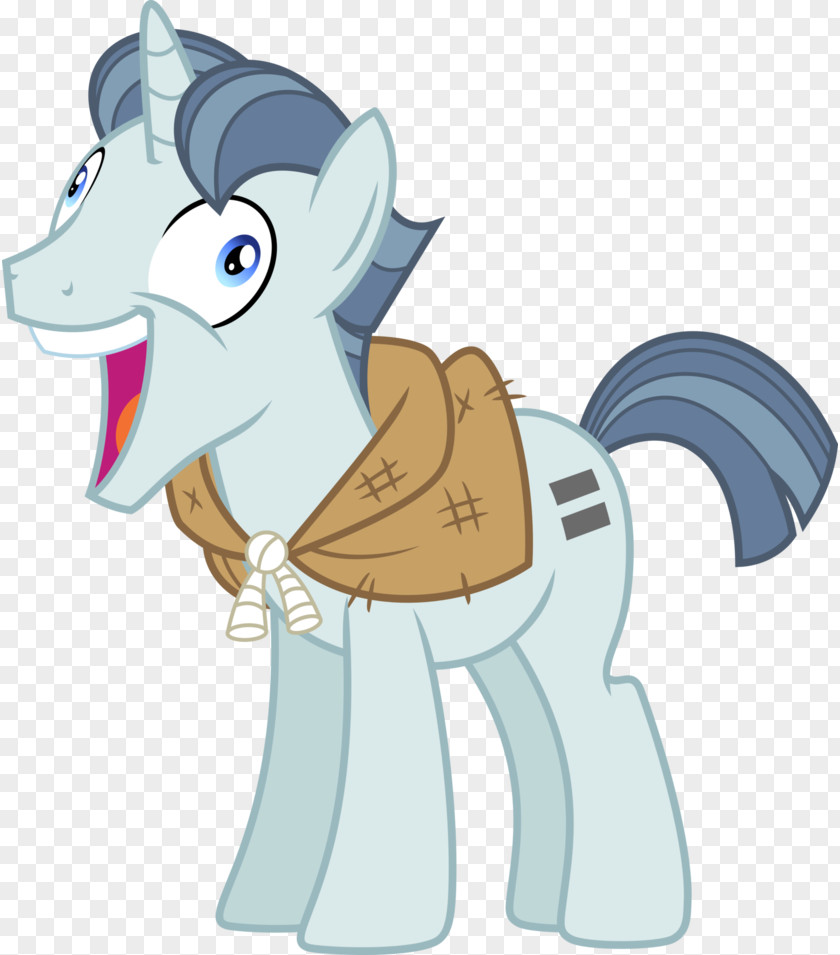 My Little Pony Pony: Harmony Quest Rarity Rainbow Dash PNG