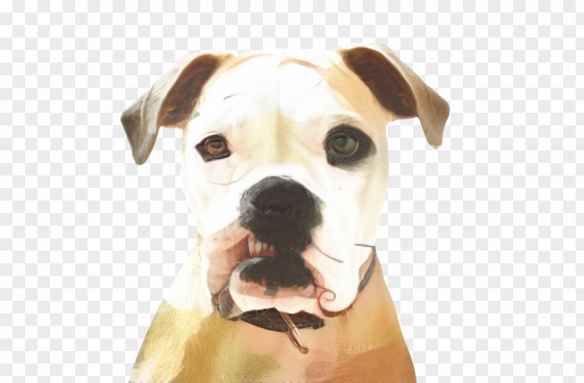 Ear Smile Cute Dog PNG