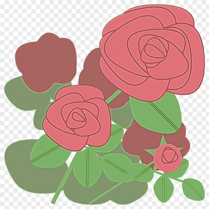 Garden Roses PNG